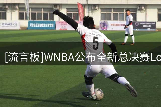 [流言板]WNBA公布全新总决赛Logo，本赛季总决赛将采用七场四胜制